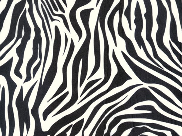 ZEBRA PRINT STRIPES Tissue Paper 20x30 (240 sheets)  