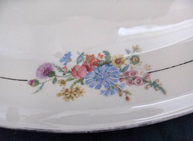 Tirschenreuth China, Germany, Multifloral, 3 Trays   VERY RARE   No 