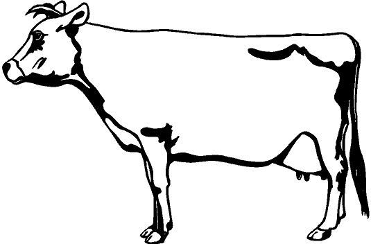 Jersey Cow Vinyl Decal Car Truck Window Sticker  