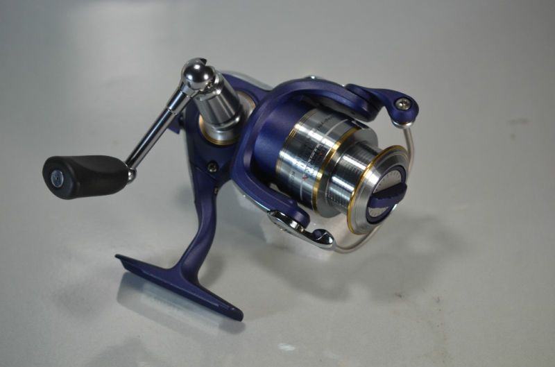 Team Daiwa Tierra 1500 Brand New Fishing Reel  