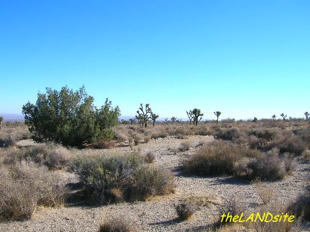   Butte LINK. Antelope Valley LINK. Antelope Valley Chamber LINK