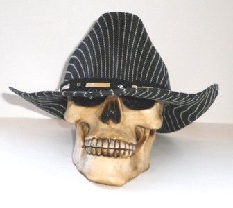 NEW MENS RODEO COWBOY BLACK PIN STRIPE WESTERN HAT  