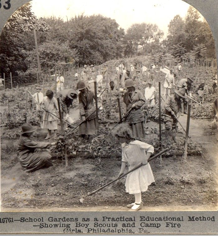 OLD BOY SCOUTS & CAMP FIRE GIRLS STEREOVIEW PHOTO  