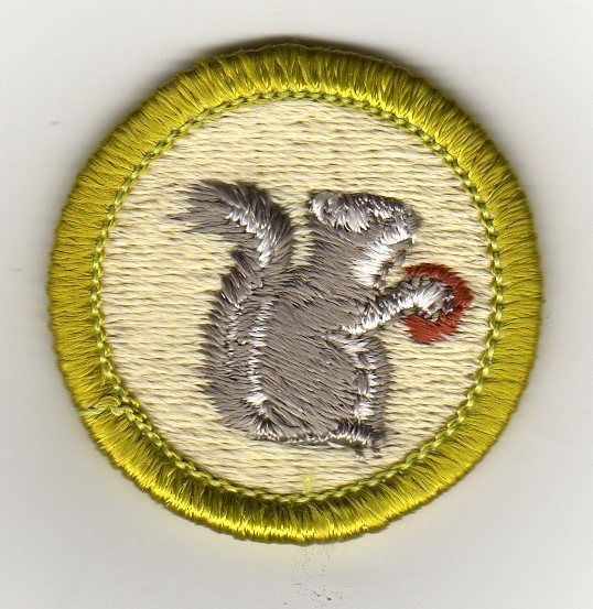 Mammal Study Merit Badge, Type H, Clear Plastic Back  