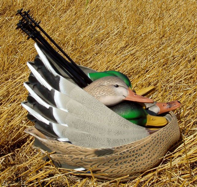   GREENHEAD GEAR MALLARD FEEDER SHELL DUCK DECOYS 700905701650  