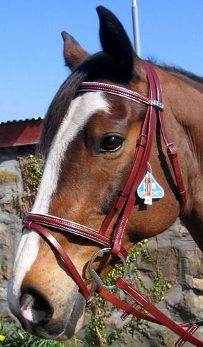 Stubben 3000 Split Head Padded German Leather Bridle  