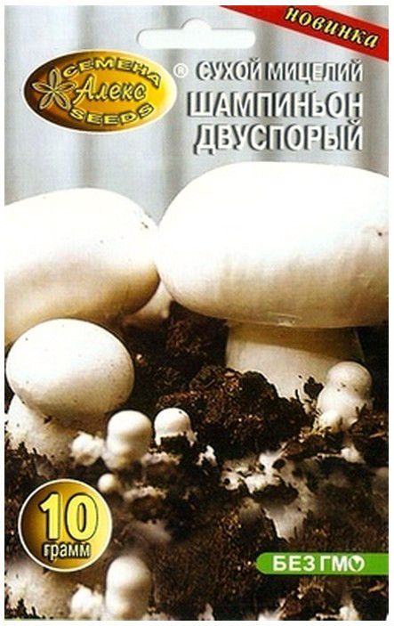 agaricus bisporus GROW white button MUSHROOMS IN GARDEN Mycelium Spawn 