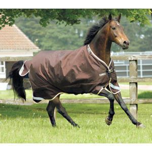   outdoor sports equestrian stable care grooming horse blankets sheets