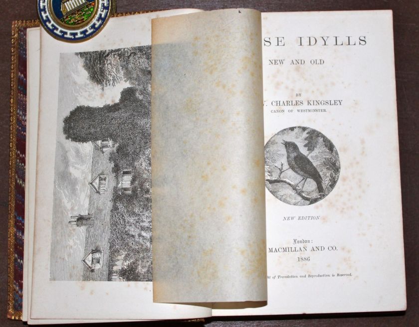 1886 RARE OLD ANTIQUE IDYLLS   KINGSLEY Book LEATHER Library Lot 