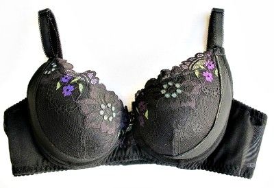 NEW SEXY MESH Elegant Spring Floral Lace PUSH UP Bra  