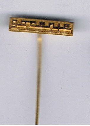 Pin Badge Gorenje Slovenia Hat lapel pin  