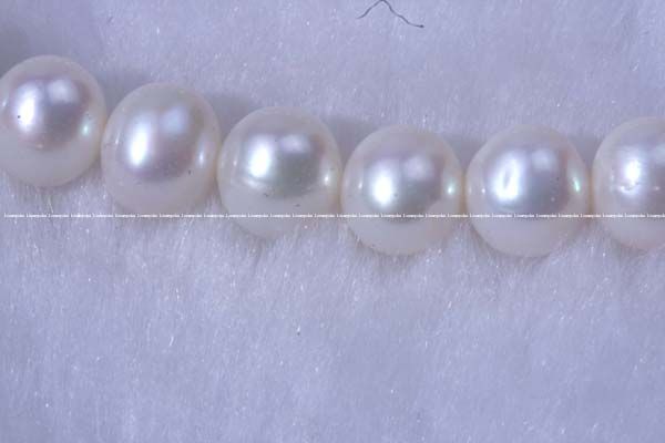 10 strands 7.5mm white round freshwater pearl beads  