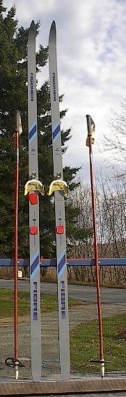 Cross Country 81 Skis 3 pin 210 cm +Poles FISCHER  