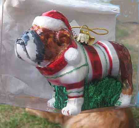 NEW* BULLDOG II Blown Glass Xmas Ornament NICE  